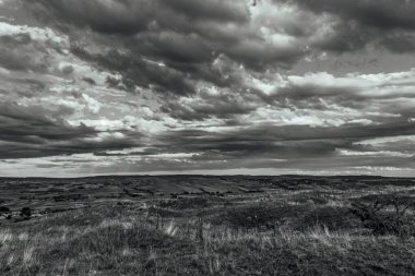 Peyzaj, Orman, Karpatlar, Doğa Fotoğrafları - Avrupa, Doğu Avrupa