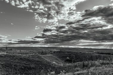 Arka planda ağaç olan güzel bir manzara.