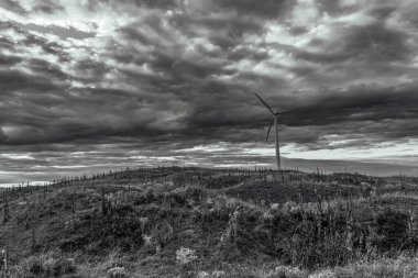 Tarlada rüzgar türbinleri