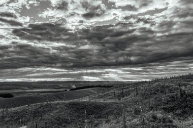 a grayscale closeup shot of a field with a cloudy background