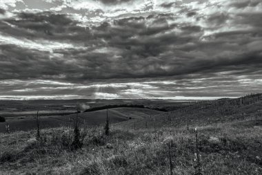 Peyzaj, Orman, Karpatlar, Doğa Fotoğrafları - Avrupa, Doğu Avrupa