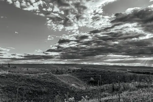 Arka planda ağaç olan güzel bir manzara.