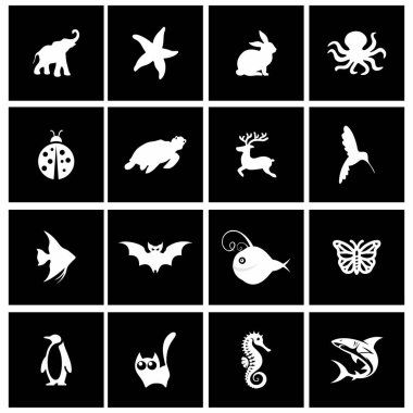Siyah ve Beyaz Hayvan Silueti Simgeleri Ayarlandı. Kara, deniz ve hava yaratıklarının yer aldığı siyah beyaz hayvan siluetleri. Eğitim tasarımları, çocuk malzemeleri, uygulamalar ve doğa temalı projeler için mükemmel..