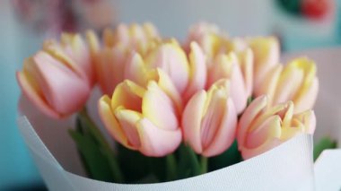 Genç bir kadın elinde pembe kenarlı taze sarı lalelerden oluşan bir buket tutuyor. Güzelce beyaz kağıda sarılmış..