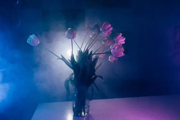 Sanatsal Işıklandırmada Neon Mor laleler. Neon ışıklı mor lalelerin yüksek kaliteli atmosferik fotoğrafları.