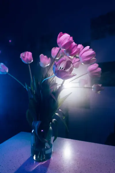 Sanatsal Işıklandırmada Neon Mor laleler. Neon ışıklı mor lalelerin yüksek kaliteli atmosferik fotoğrafları.