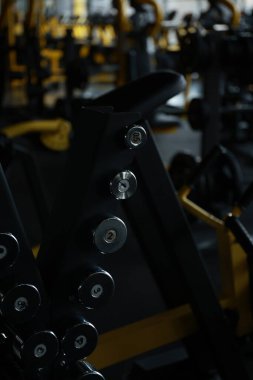 Spor salonunda Lat Pulldown Egzersizi Yapan Kadın. 
