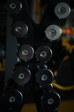 Spor salonunda Lat Pulldown Egzersizi Yapan Kadın. 