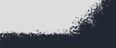 Soyut Grunge Doku Monokrom Arkaplanı
