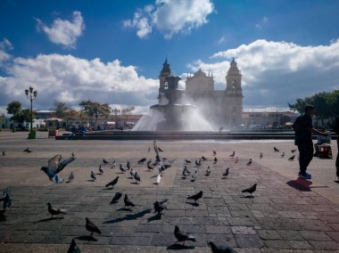 Guatemala City Anayasası 'nın Meydanı' ndaki çeşme. (Palacio nacional)