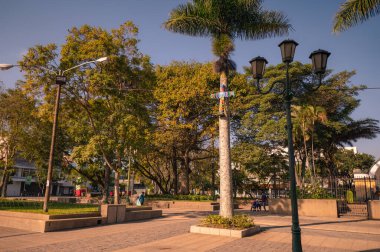 GUATEMALA, GUATEMALA - 01 HAZİRAN 2022: yeni yıl sabahı Park Centenario 'nun görüntüsü. Palmiye ağacında renkli kağıtlarla süslenmiş ahşap bir haç..