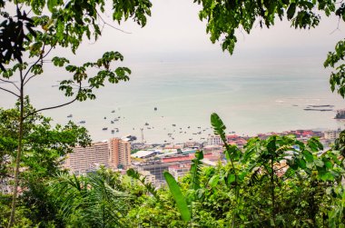 Deniz kenarındaki güzel bir şehrin ağaç dalları arasından hava manzarası. 