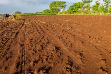 Verimli toprakların bir kısmı ekilmeye hazır.