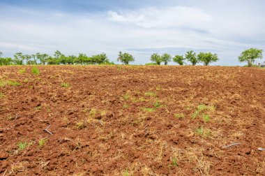 soil background on field, fertile land ready to be planted       clipart