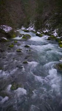 Orman bölgesindeki nehir suyunun doğal görüntüsü hayret vericidir.