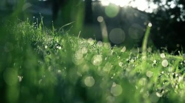 Kaldırıma düşen yağmur damlaları rahatlatıcı ve huzurlu bir atmosfer yaratıyor.