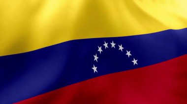 Venezuela federasyon bayrağı rüzgarda dalgalanıyor