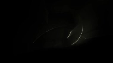 D harfi ve yaprak logo tasarım videosu