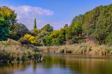 Bereketli bir yeşilliğin ortasında sakin bir gölet, parlak mavi bir gökyüzünün altında ağaçlarla çevrili, huzurlu ve pitoresk bir manzara yaratıyor..