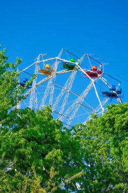 Parlak boyanmış dönme dolap yemyeşil ağaçların üzerinden yükselerek canlı mavi gökyüzüne karşı neşeli bir lunapark sahnesini yakalıyor..