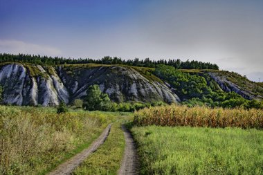Yazın, tarlalardan tebeşir tepelerine uzanan pitoresk bir köy yolu.. 