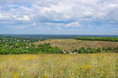 Çimenli tepeler, dağınık kır çiçekleri, orman arazileri ve doğal gün ışığı altında bulutlu bir gökyüzü içeren kırsal alan..