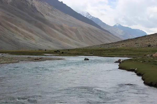   Güzel bir nehir manzarası ve dağlar harika görünüyor.