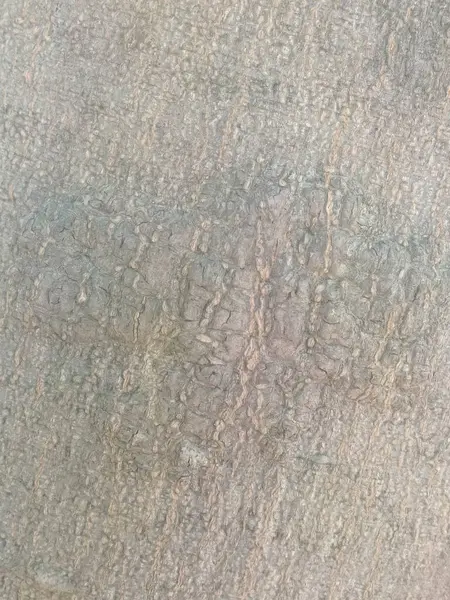 Bahçedeki ağaç kabuğuna yakın.