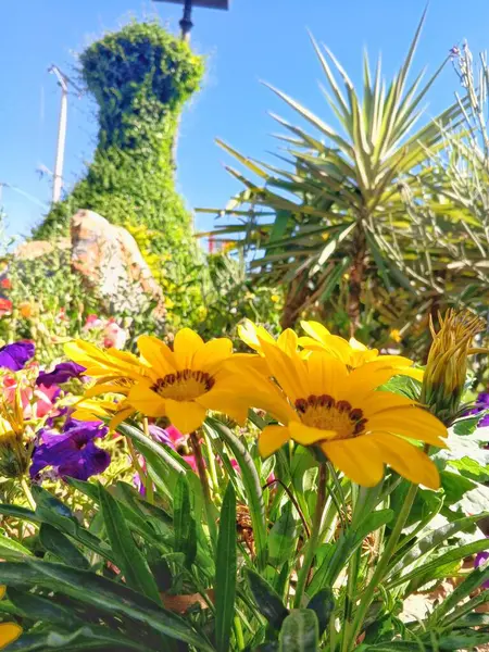 Güzel sarı renkli çiçek harika görünüyor.
