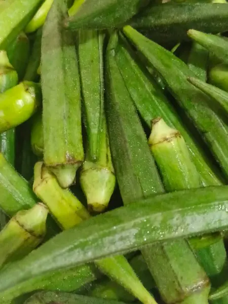 Bamya (kadın parmakları) taze görünüyor. 