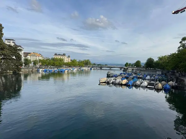 İsviçre 'deki güzel göl manzarası 