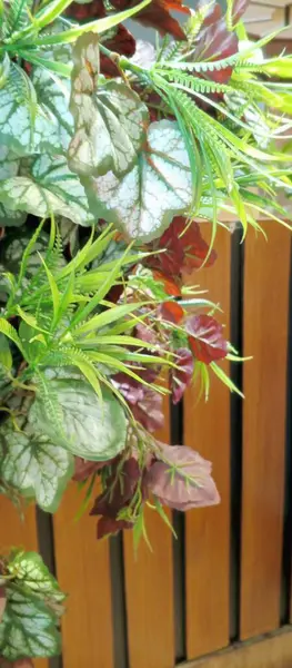 Geri dönüşümlü yeşillik seçeneği güzel görünüyor 