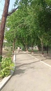 Genç adam sağlıklı ve zinde kalmak için parkta alıntı yapıyor. 