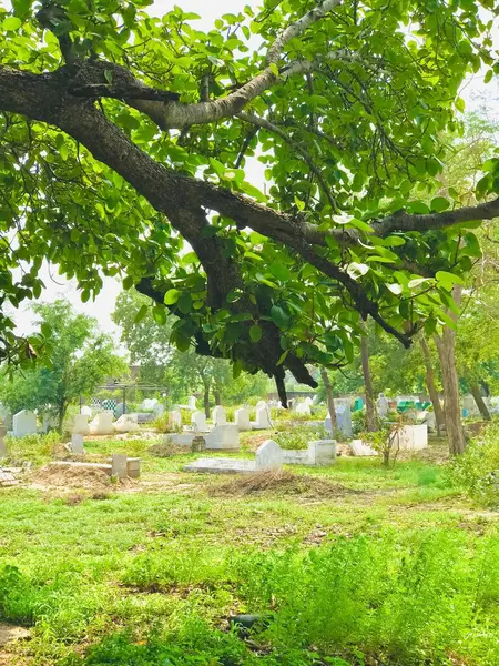 GAZETE GİRİŞ ÇEVİRİ 