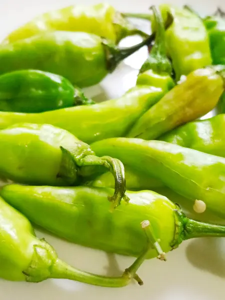 BİR YAZIL ŞİLİ BİR AY AYRILMASI 