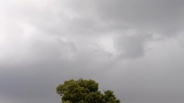 Bulutlar gökyüzünde süzülüyor. 