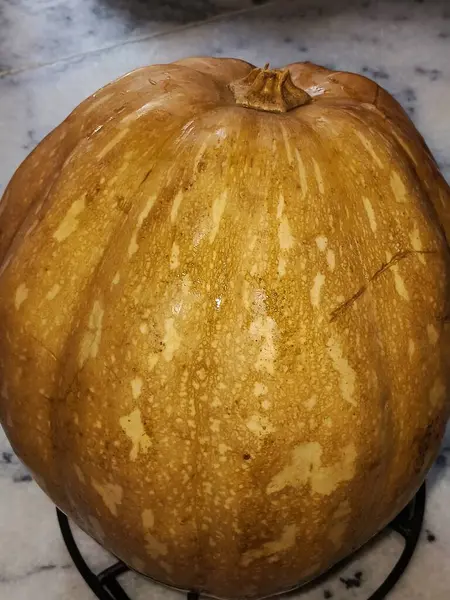 İkiye bölünmüş bir balkabağı parlak turuncu derisini gösterir. Ortadaki çekirdekleri ve yumuşak iplik parçalarını da görebilirsiniz..