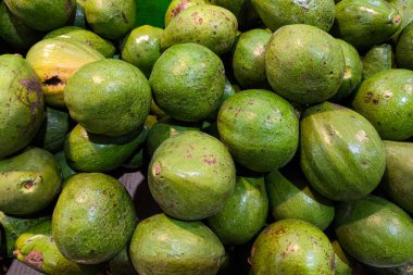 Canlı yeşil avokado yığını. Parlak derileri ve doğal kusurları geleneksel bir pazarda sergileniyor. Güneydoğu Asya 'da yaygın olarak satılan yerel tropikal meyveler.