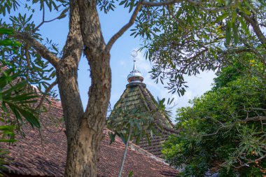 Geleneksel cami çatısı gümüş İslami ay hilal finali ile kısmen tropikal ortamda açık mavi gökyüzü altında yapraklı ağaç dalları tarafından çerçevelenmiş..