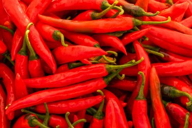 Canlı, doğal ışık altında taze kırmızı biber yığınlarının yakın çekimi. Baharatlı gıda malzemeleri, tarım ve organik mutfak ürünlerinin mükemmel bir temsili..