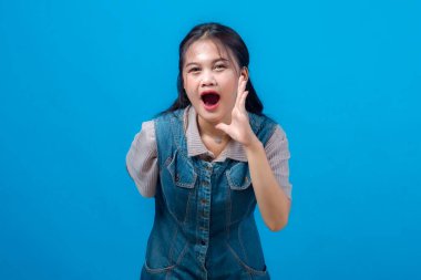 Genç Asyalı kadın bağırıyor ya da eli ağzının kenarında bağırıyor, aciliyet ya da duyuru yapıyor. Canlı mavi arkaplanı olan bir stüdyo portresi, reklam kavramları için mükemmel..