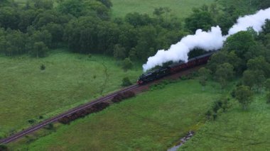 Hogwarts Ekspres buhar treni yemyeşil bir arazide ilerliyor. Tren ağaçlar ve otlarla çevrili.