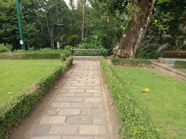 Parkın güzel manzarası