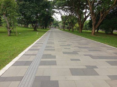 Parkın güzel manzarası