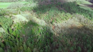 Bulutların arasından bakan güneşli İngiliz Ormanı Drone Hava Görüntüsü