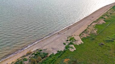 Deniz Kıyısı Sahili ve Okyanusun Hava Aracı Sabit Çekimi