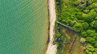 Kuş Gözü Havadan Deniz Sahil Manzarası Doğa Koruma Alanı Aşağı İlerliyor
