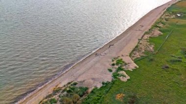 Doğa Koruma Alanı Sağa Dönen Havadan Yüksek Açı Deniz Kıyısı