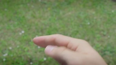 Orta parmağın üzerine gümüş yüzük yerleştiriliyor. Beyaz el otların üzerine.