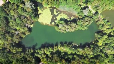 Havadan Gelen Kuşların Gözü Yazın Ağaçlarla çevrili Parlak Mavi Göl